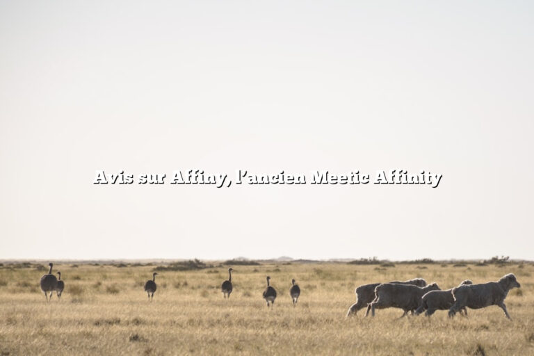 Avis sur Affiny, l’ancien Meetic Affinity