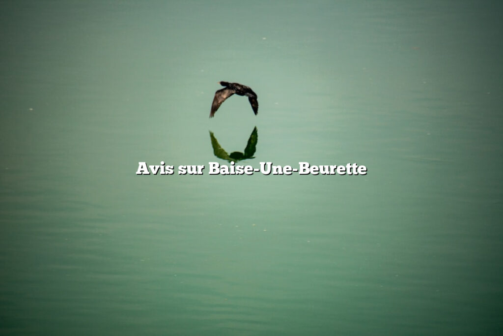 Avis sur Baise-Une-Beurette