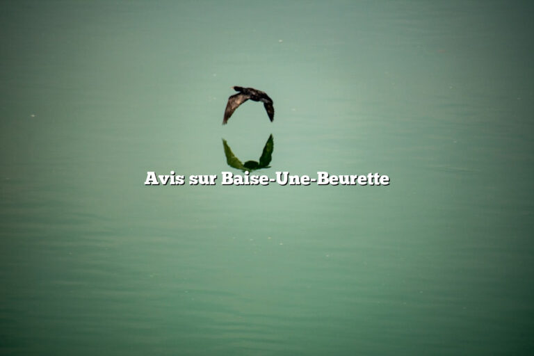 Avis sur Baise-Une-Beurette