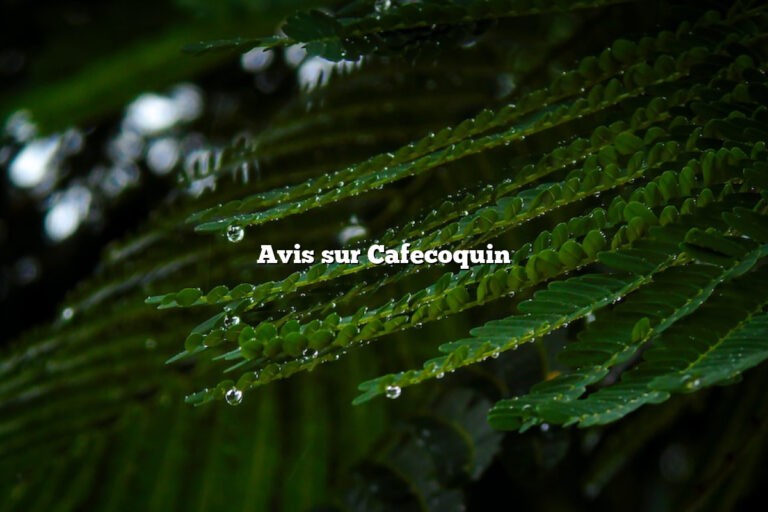 Avis sur Cafecoquin