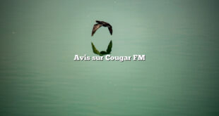 Avis sur Cougar FM