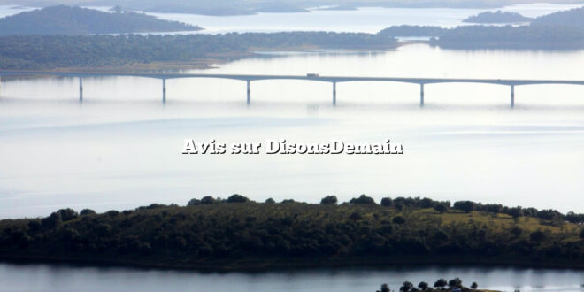 Avis sur DisonsDemain