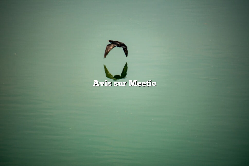 Avis sur Meetic