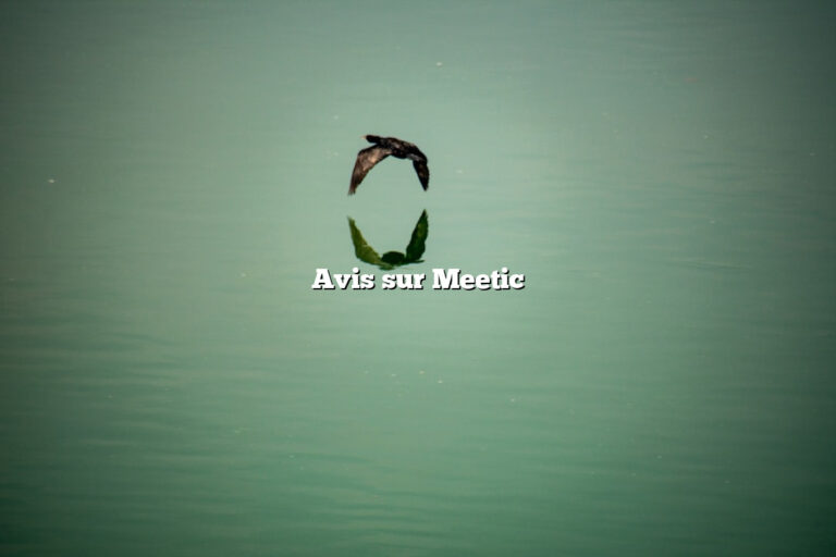 Avis sur Meetic