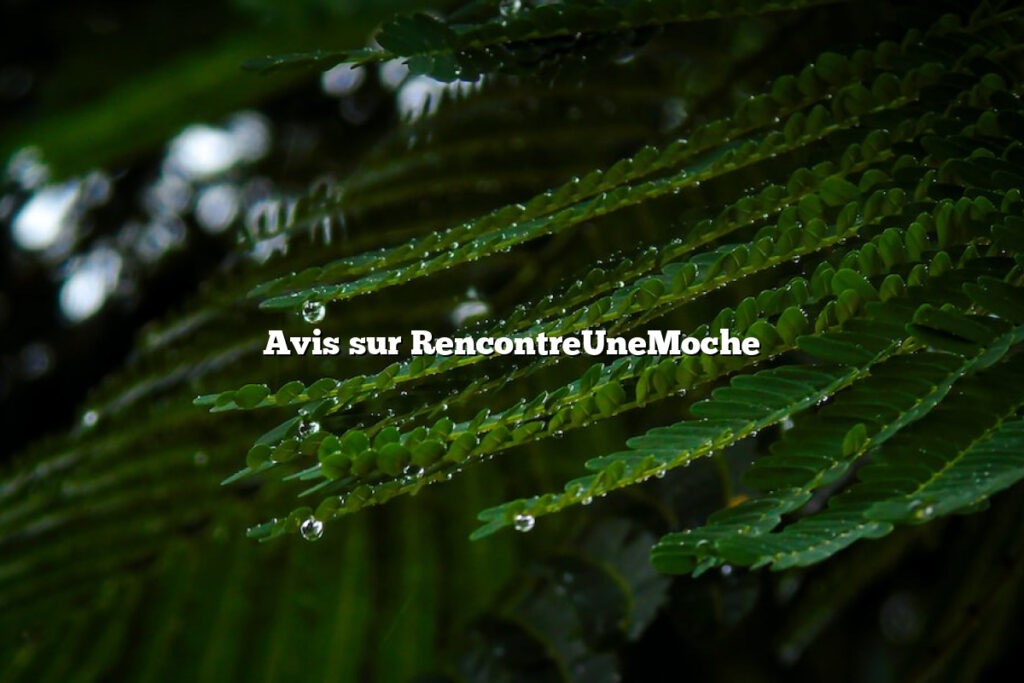 Avis sur RencontreUneMoche