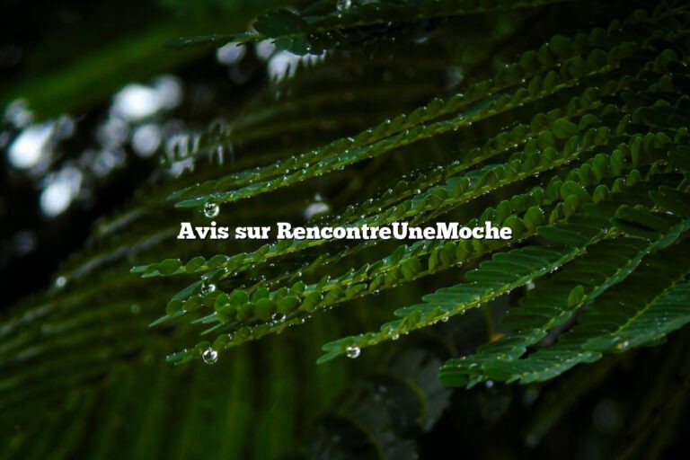 Avis sur RencontreUneMoche