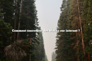 Comment rencontrer des blacks sur internet ?