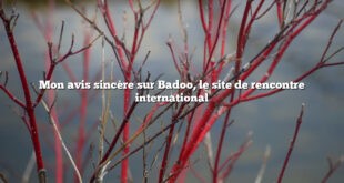 Mon avis sincère sur Badoo, le site de rencontre international