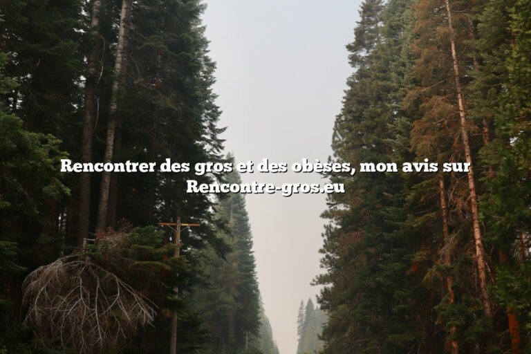 Rencontrer des gros et des obèses, mon avis sur Rencontre-gros.eu