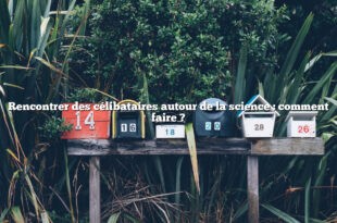 Rencontrer des célibataires autour de la science : comment faire ?